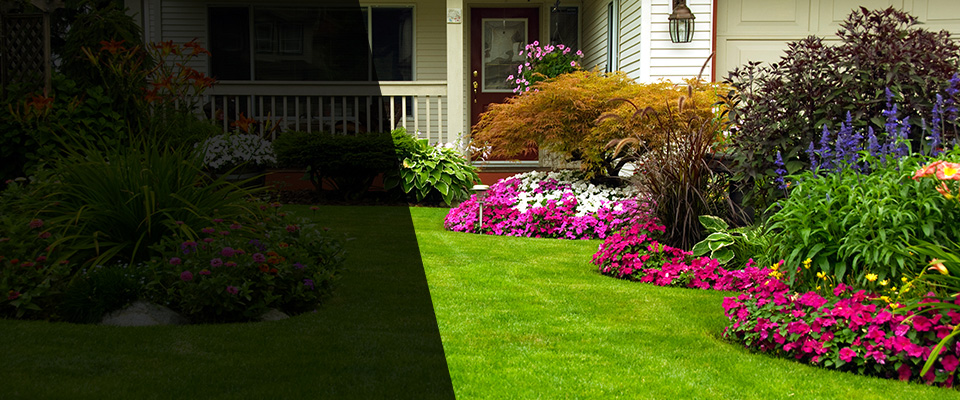 Terry Landscapers