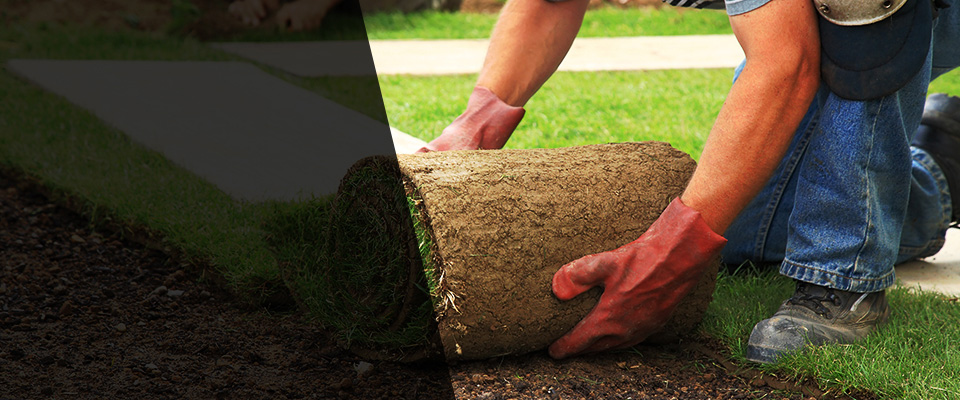 Terry Landscapers